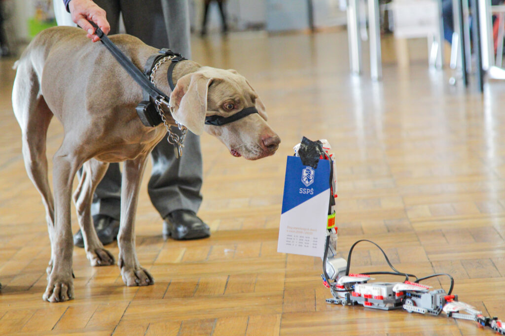 Střet humanitního a IT světa